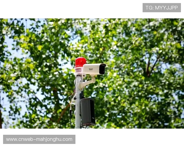 电子围栏与无人机监控结合，构建低空安全保障新范式